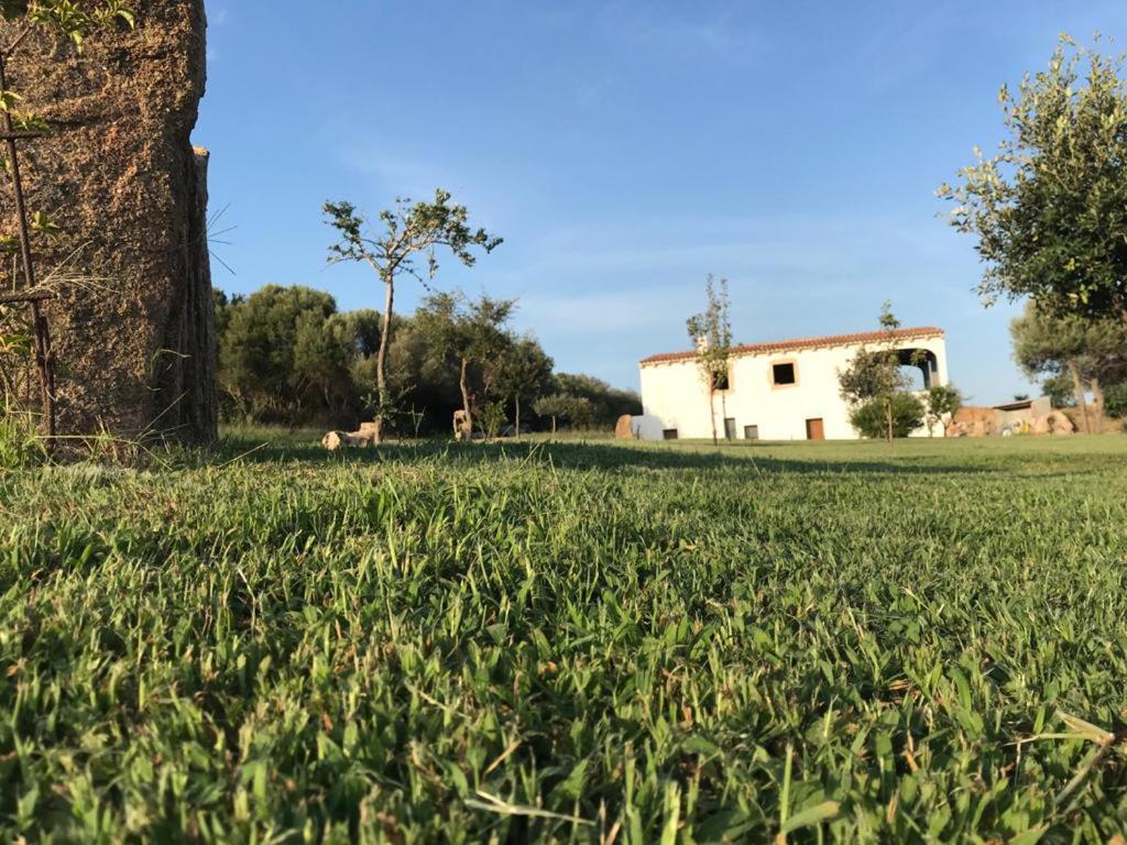 Villa Gaia Arzachena Exterior photo